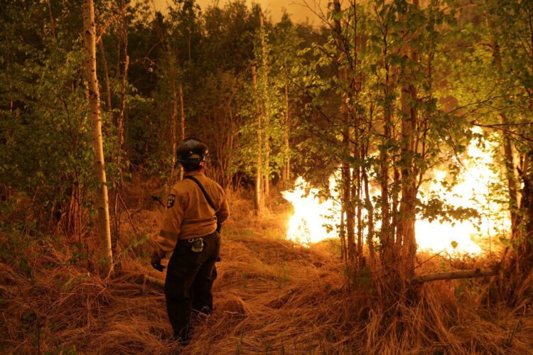 Firefighter' Or 'Forestry Tech'? And Why It Matters